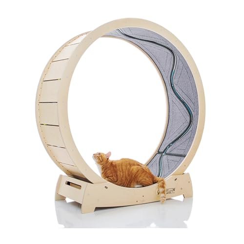 スターキャットホイール | プレミアムインドアキャットエクササイズ